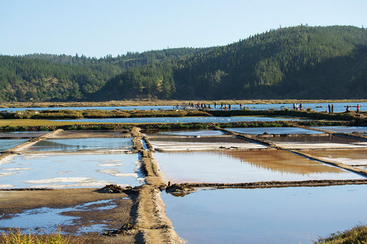 Salinas de Cáhuil